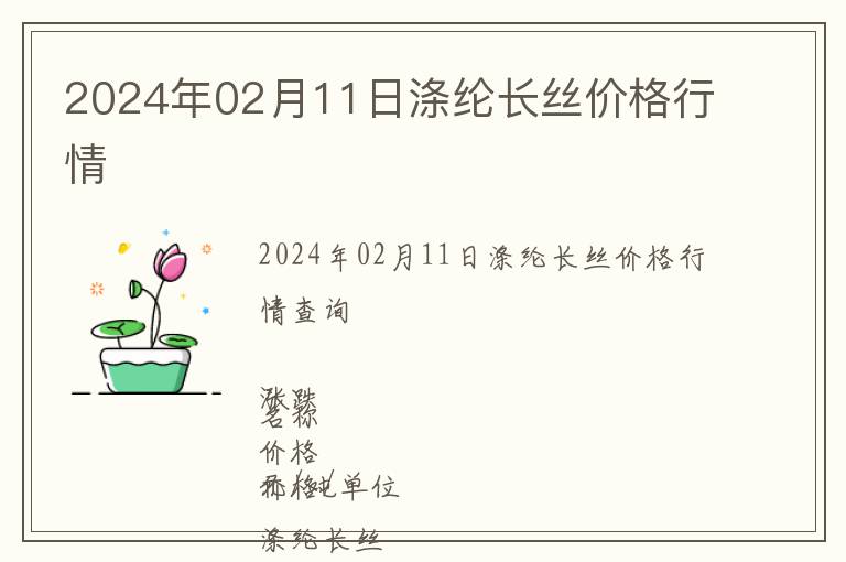 2024年02月11日滌綸長絲價格行情