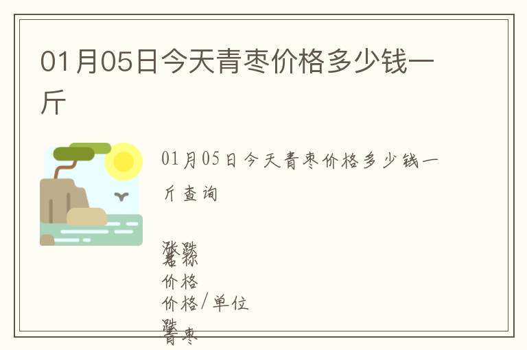 01月05日今天青棗價(jià)格多少錢(qián)一斤