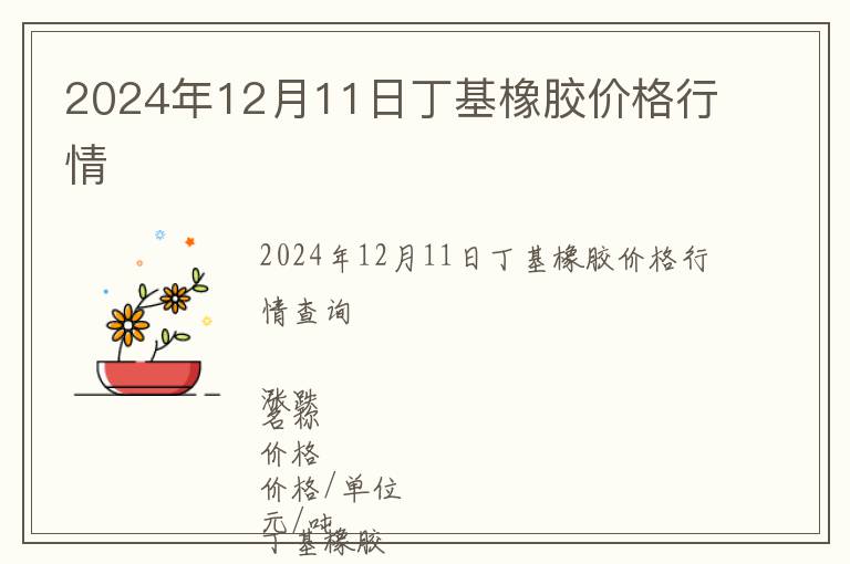 2024年12月11日丁基橡膠價(jià)格行情