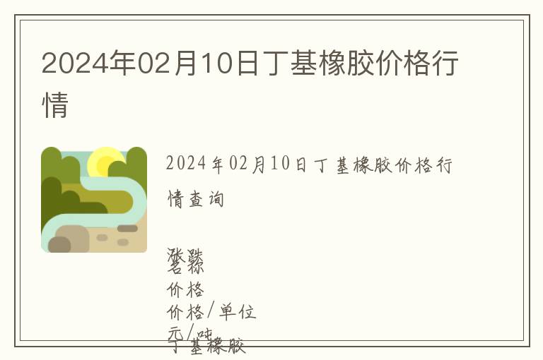 2024年02月10日丁基橡膠價格行情
