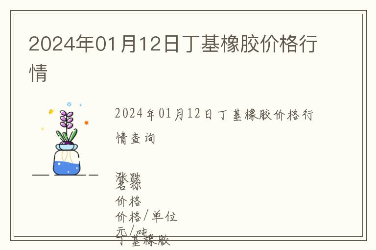 2024年01月12日丁基橡膠價(jià)格行情