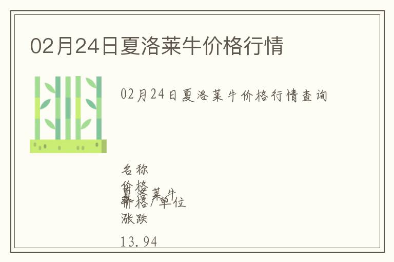 02月24日夏洛萊牛價格行情