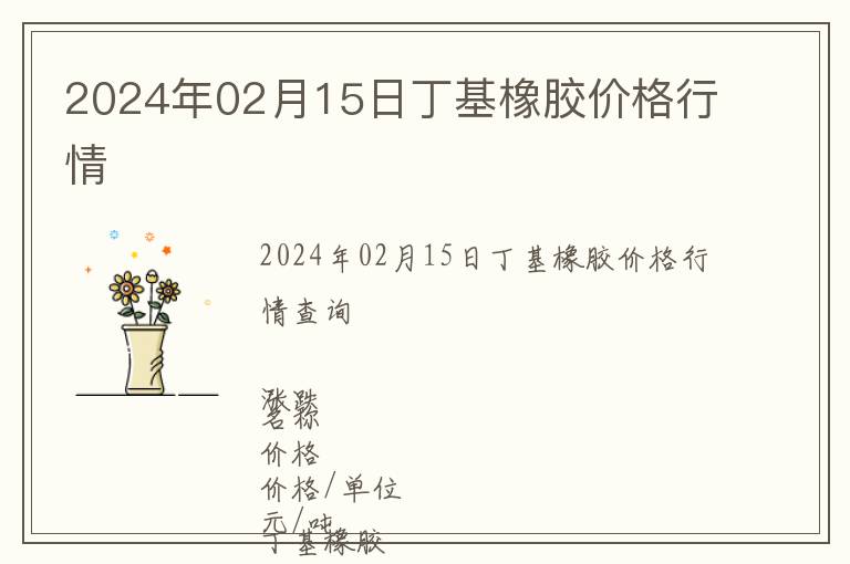 2024年02月15日丁基橡膠價格行情