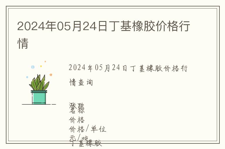 2024年05月24日丁基橡膠價格行情