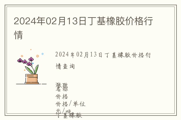 2024年02月13日丁基橡膠價格行情