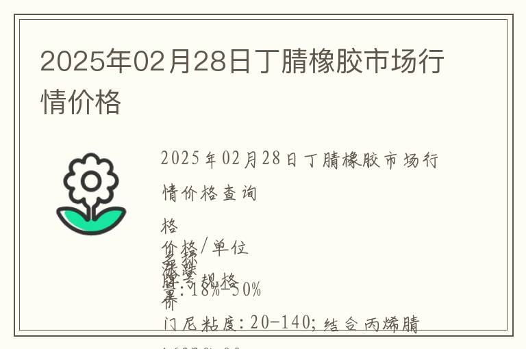 2025年02月28日丁腈橡膠市場行情價格