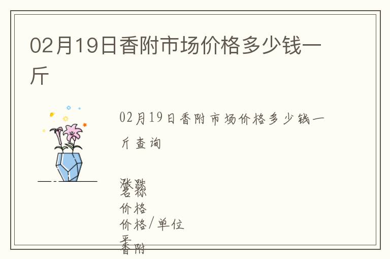 02月19日香附市場價格多少錢一斤