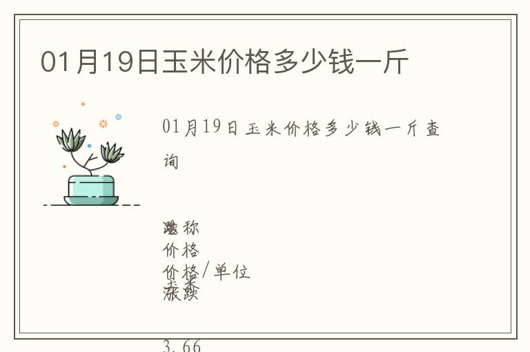 01月19日玉米價格多少錢一斤