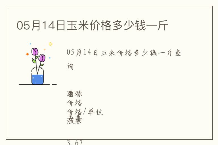 05月14日玉米價格多少錢一斤