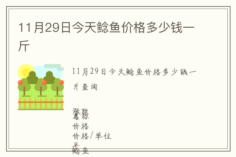 11月29日今天鯰魚價格多少錢一斤