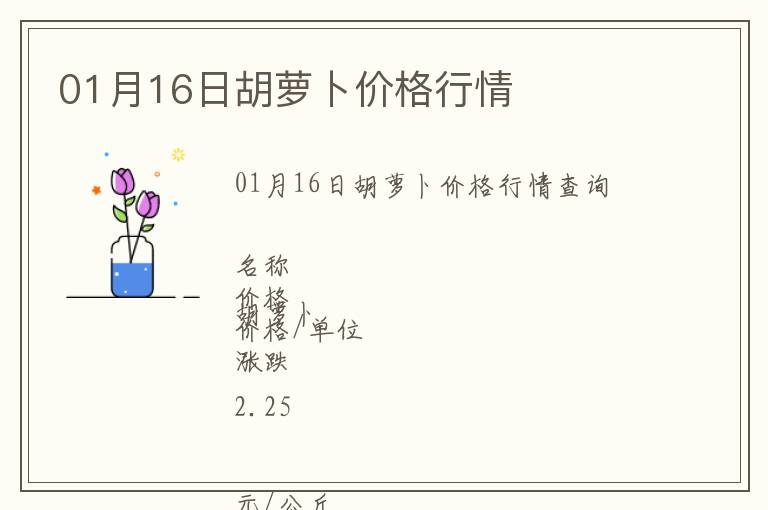 01月16日胡蘿卜價格行情