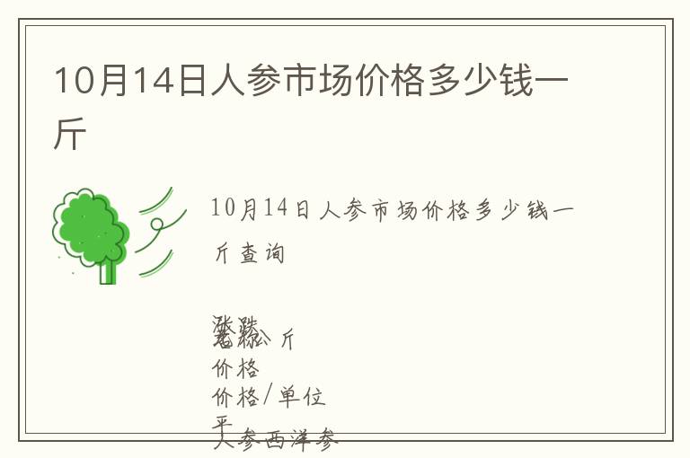 10月14日人參市場價格多少錢一斤