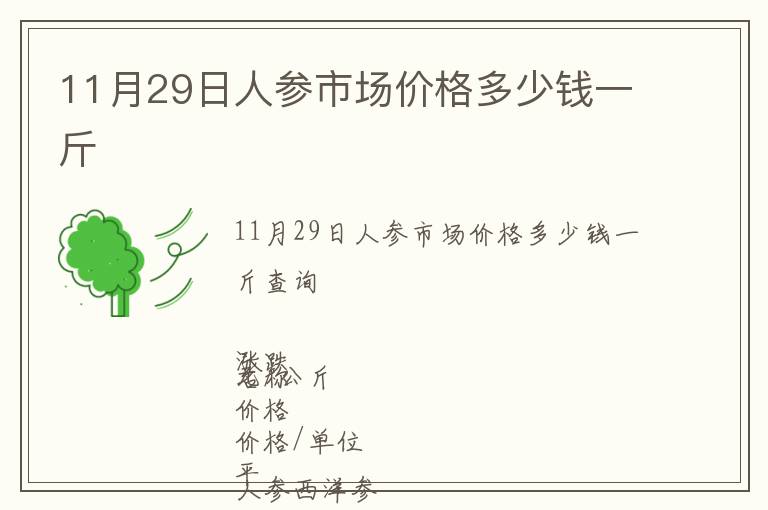 11月29日人參市場(chǎng)價(jià)格多少錢一斤