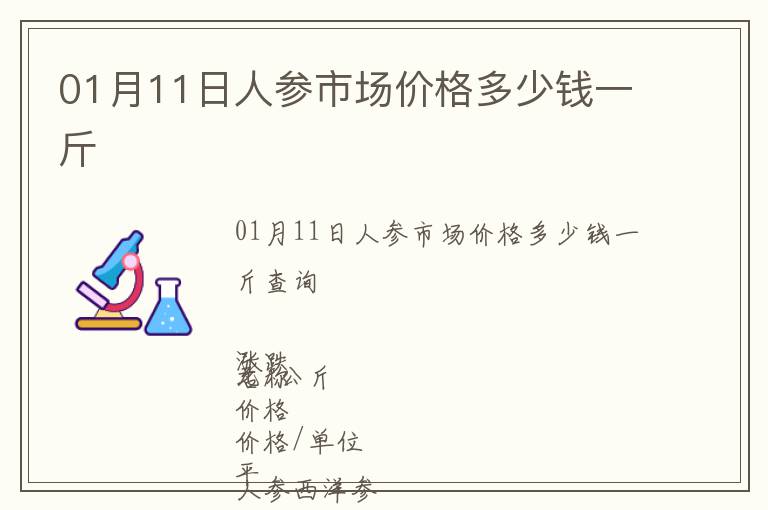 01月11日人參市場價格多少錢一斤