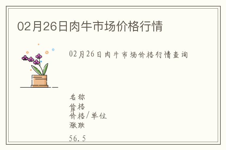 02月26日肉牛市場(chǎng)價(jià)格行情