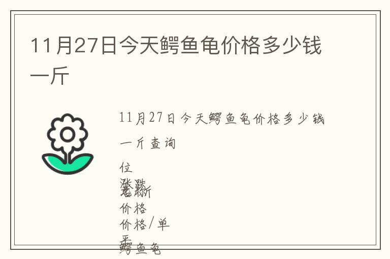 11月27日今天鱷魚(yú)龜價(jià)格多少錢一斤