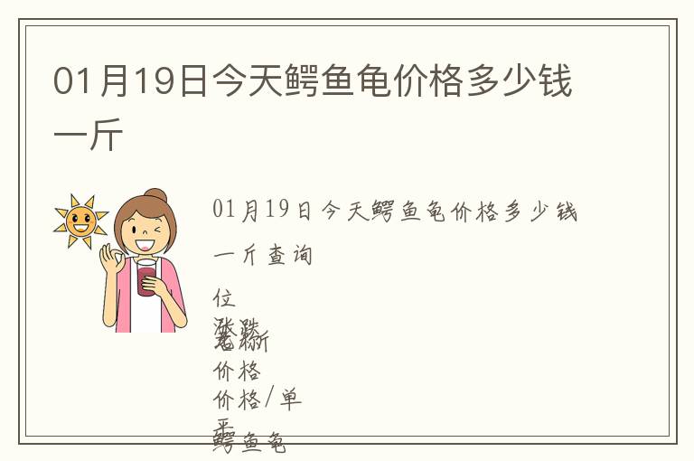01月19日今天鱷魚龜價格多少錢一斤