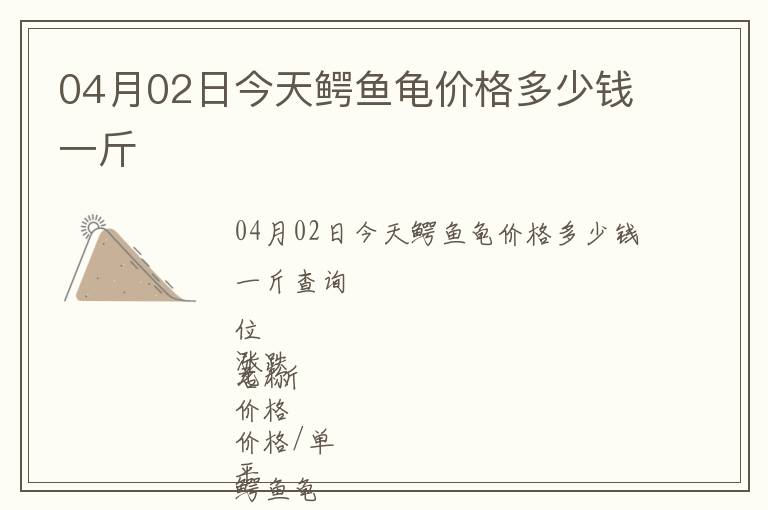 04月02日今天鱷魚(yú)龜價(jià)格多少錢(qián)一斤