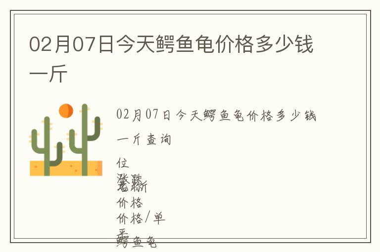 02月07日今天鱷魚龜價(jià)格多少錢一斤