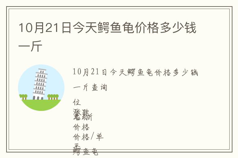 10月21日今天鱷魚龜價格多少錢一斤
