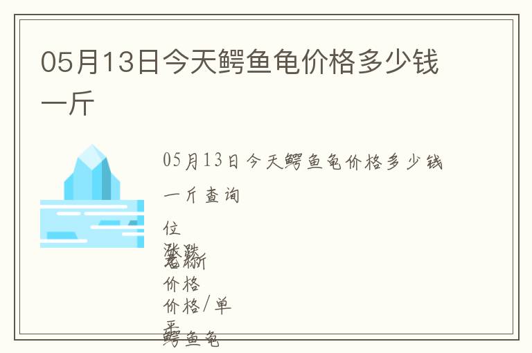 05月13日今天鱷魚龜價格多少錢一斤