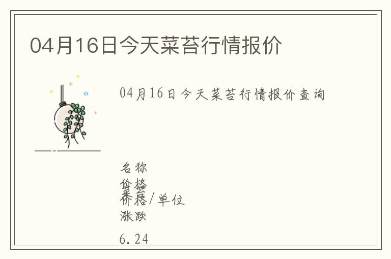 04月16日今天菜苔行情報價