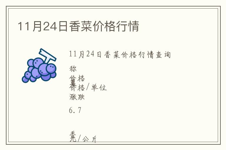 11月24日香菜價(jià)格行情