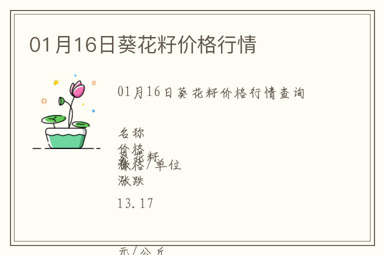 01月16日葵花籽價格行情