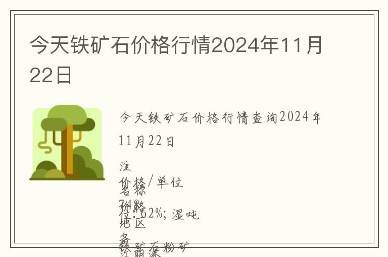 今天鐵礦石價格行情2024年11月22日