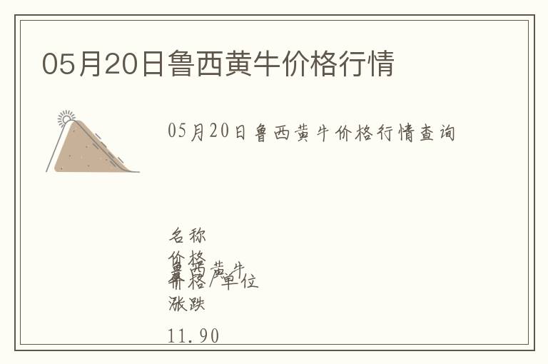 05月20日魯西黃牛價(jià)格行情