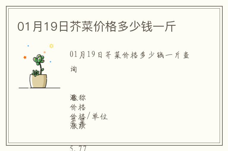 01月19日芥菜價格多少錢一斤