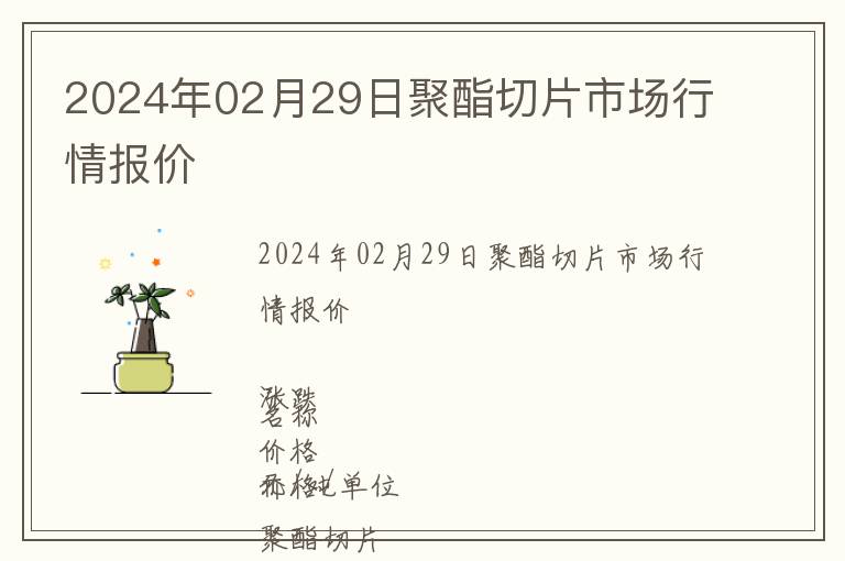 2024年02月29日聚酯切片市場行情報價