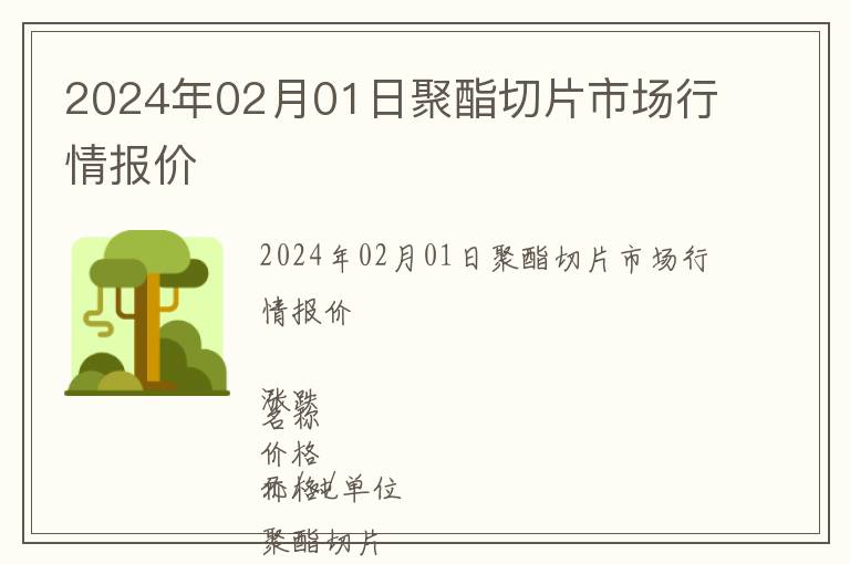 2024年02月01日聚酯切片市場(chǎng)行情報(bào)價(jià)