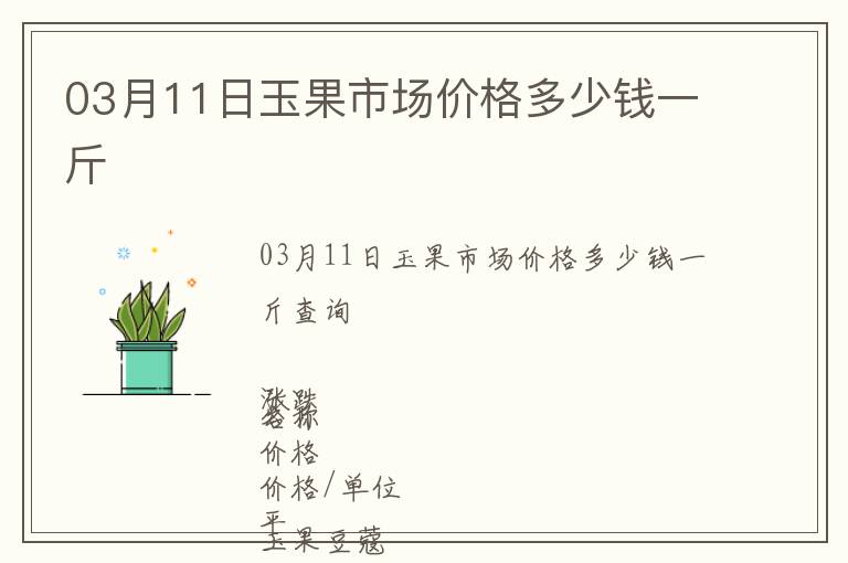 03月11日玉果市場價格多少錢一斤