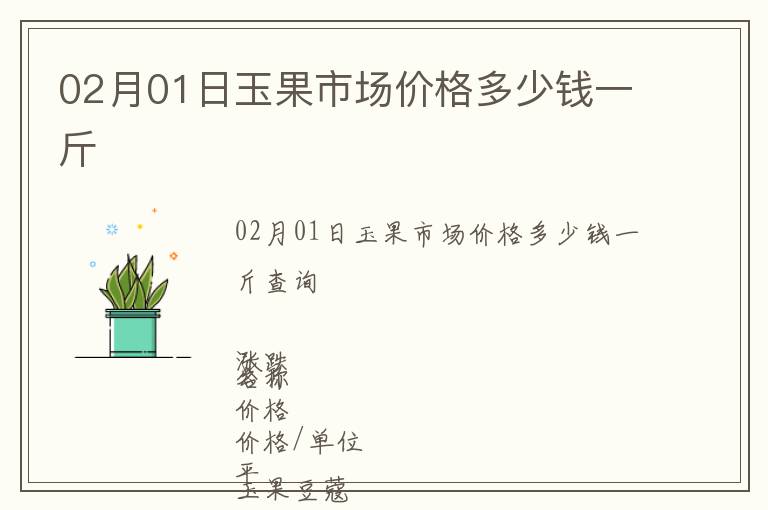 02月01日玉果市場價格多少錢一斤