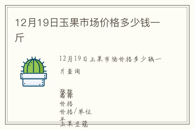 12月19日玉果市場價格多少錢一斤