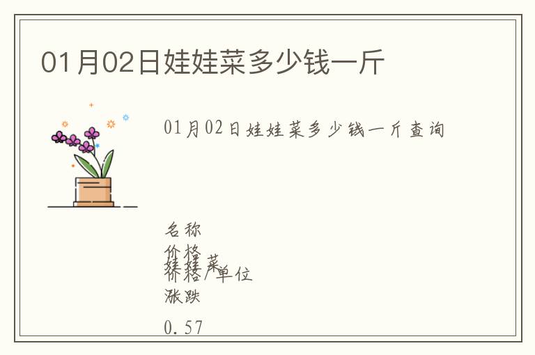 01月02日娃娃菜多少錢一斤
