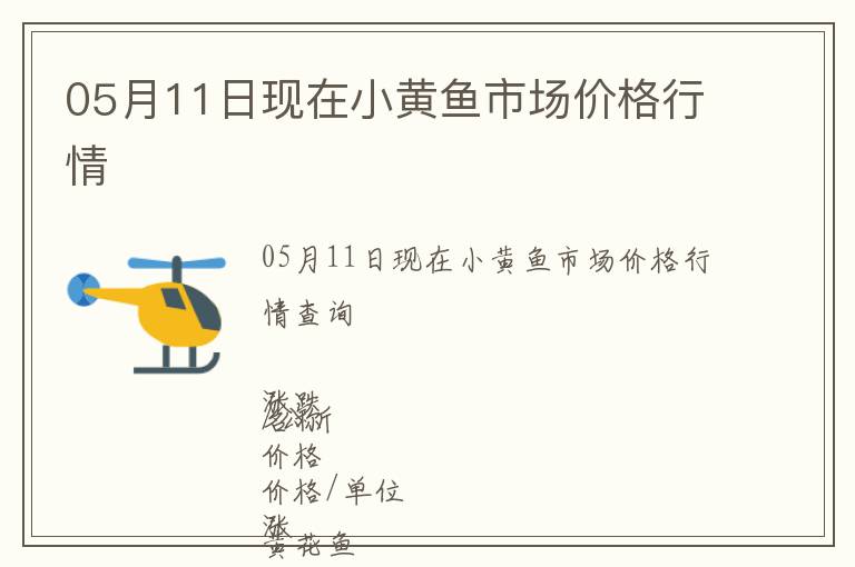 05月11日現在小黃魚市場價格行情