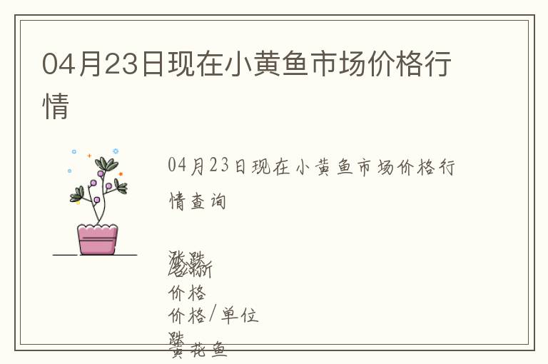 04月23日現在小黃魚市場價格行情