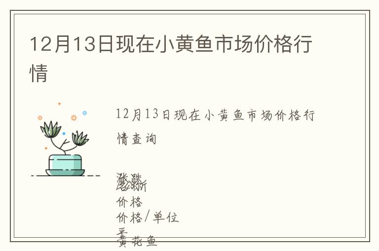 12月13日現在小黃魚市場價格行情