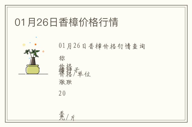 01月26日香樟價(jià)格行情