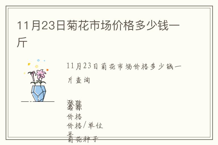 11月23日菊花市場價(jià)格多少錢一斤
