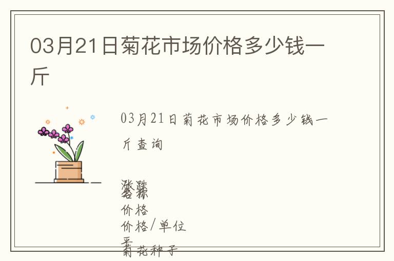 03月21日菊花市場(chǎng)價(jià)格多少錢(qián)一斤