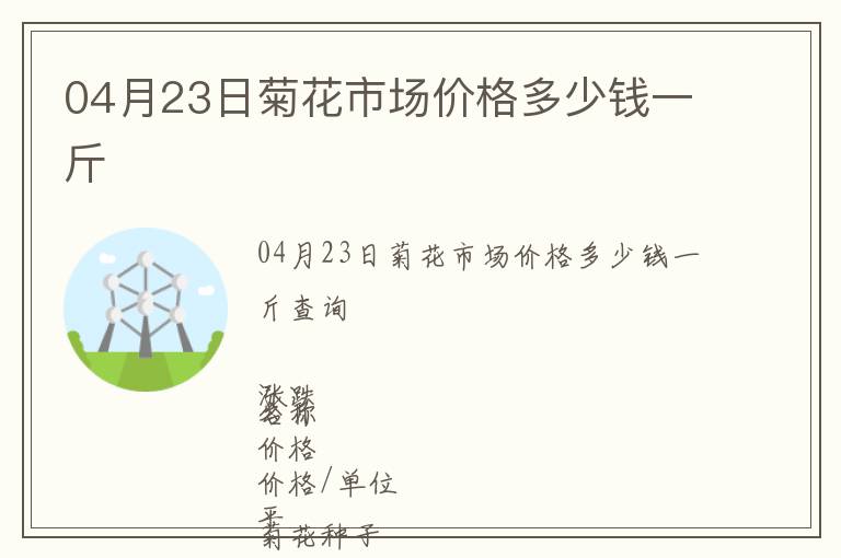 04月23日菊花市場價格多少錢一斤