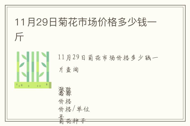 11月29日菊花市場(chǎng)價(jià)格多少錢一斤