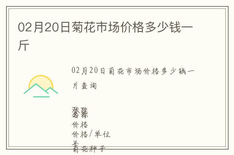 02月20日菊花市場價格多少錢一斤