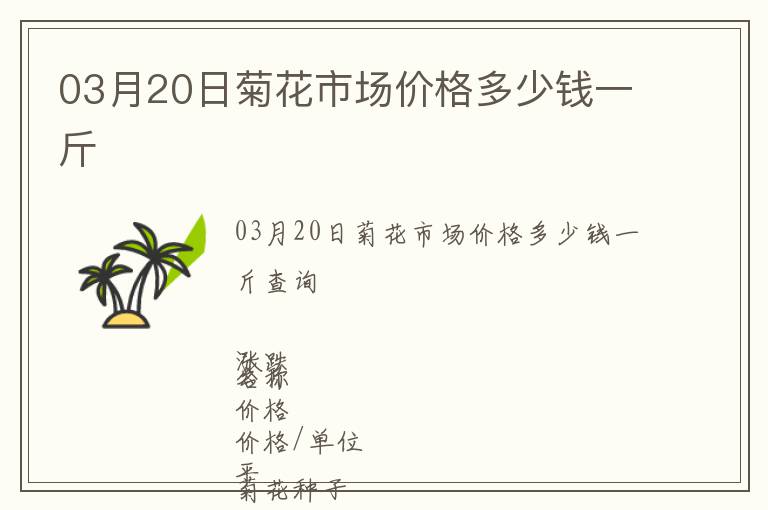 03月20日菊花市場價(jià)格多少錢一斤