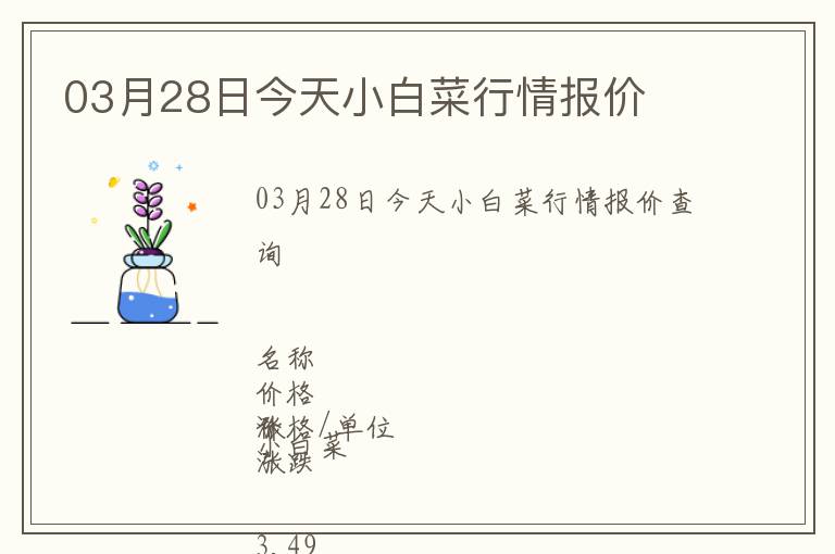 03月28日今天小白菜行情報價