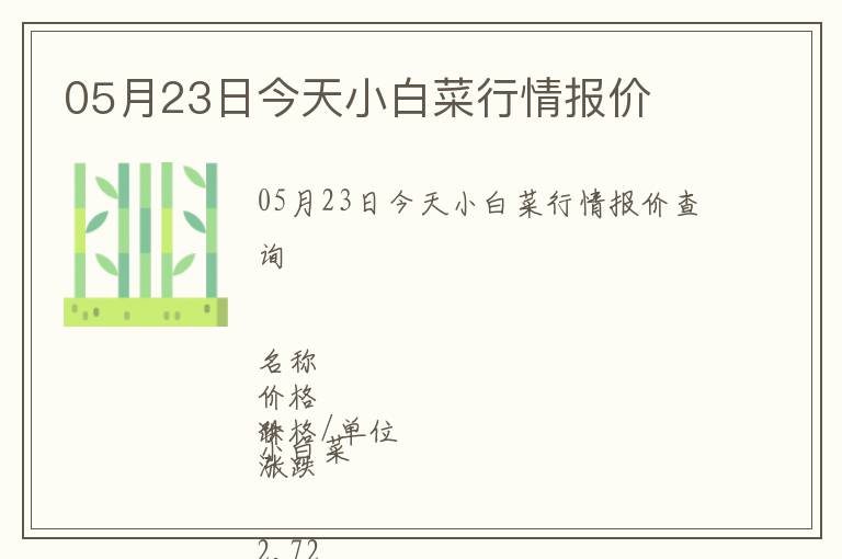 05月23日今天小白菜行情報價
