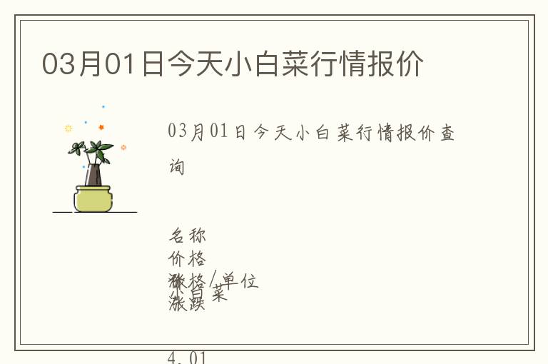 03月01日今天小白菜行情報(bào)價(jià)